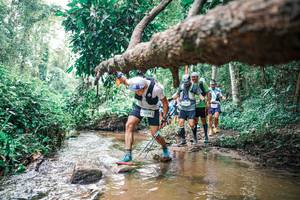 BIB: 
                            <button type="button" onclick="openModal(25372653)" class="btn btn-primary btn-sm float-right btn-popup" data-toggle="modal" data-target=".modal-high-quality">
                        <i class="fas fa-shopping-cart"></i> Add to Cart
                    </button>
                                            <button type="button" onclick="isThisMe(25372653, true)" class="btn btn-success btn-sm float-right btn-popup btn-isme hidden" data-toggle="tooltip" data-placement="bottom" title="นี่คือรูปของคุณใช่ไหม คลิกที่นี่เพื่อเอาเข้าอัลบั้ม">
                        <i class="fas fa-plus"></i> Add to album
                    </button>
                    <button type="button" onclick="isThisMe(25372653, false)" class="btn btn-warning btn-sm float-right btn-popup btn-isnotme hidden">
                        <i class="fas fa-ban"></i> Remove from album
                    </button>